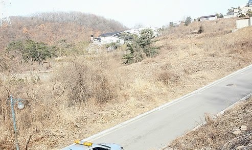 이완구 국무총리 후보자의 아내가 차남에게 증여한 경기도 성남시 분당구 대장동 토지. 도로 위쪽 잡초가 무성한 나대지가 후보자 차남이 소유한 땅이다