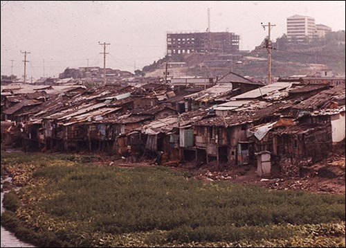 ▲  1970년대 청계천 하류 일대는 무허가 판자집 집성촌이었다. 그 뒤로 새로 짓는 건물들이 보인다. 박정희가 추진한 산업화, 근대화의 일그러진 모습이다. 이 사진은 당시 구호 활동을 했던 일본인 목사 노무라 모토유키가 찍어 한국 정부에 기증한 것의 일부다.  