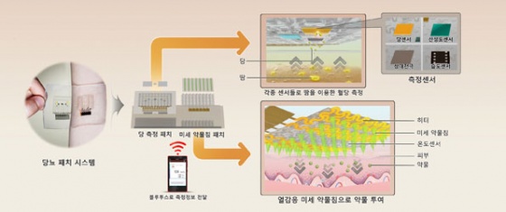 자료=미래창조과학부 산하 기초과학연구원(IBS) 