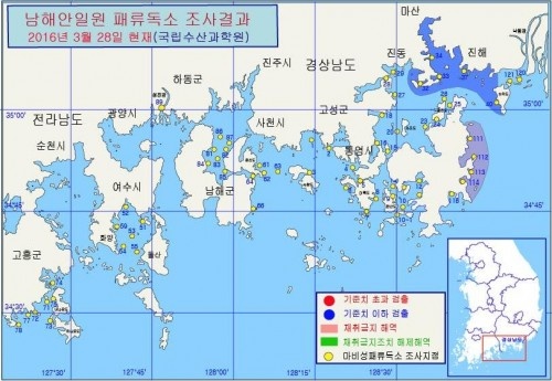 마비성 패류독소 발생이 경남 진해만 전역으로 급속히 확산되고 있다. / 사진=국립수산과학원 