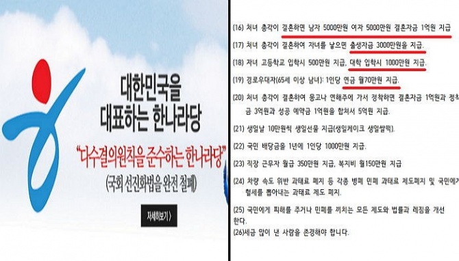 (좌) 한나라당 홈페이지, (우) 한나라당 정책 공약 요약본 