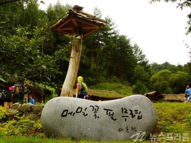 봉평 메밀꽃축제/사진=뉴스프리존 김원기기자