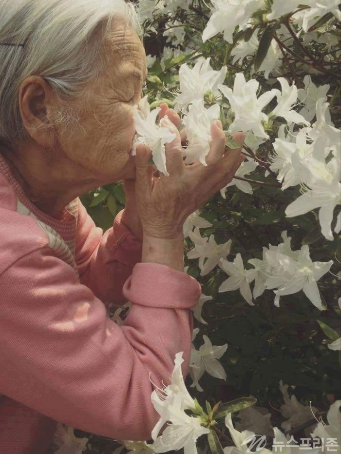 ▲ 향기나는 꽃이 아름다운지 연실 꽃 향기를 맞고 있는 할머니