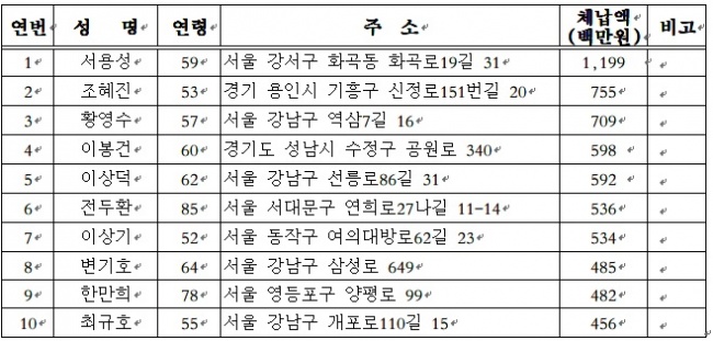 신규명단공개 개인 상위 10위/자료=서울시