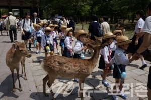 (나라의 사슴농장 사진/김기평기자)