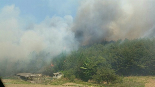 19일 오후 경북 봉화군 석포면 석포리 인근 야산에서 산불이 발생했다./사진=연합뉴스