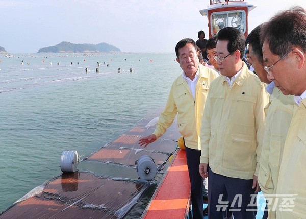 ﻿김영록 전남도지사, 태풍 대비 진도 김 채묘시설 점검/김영록 전라남도지사가 30일 오후 제18호 태풍 ‘미탁’ 대비 피해 우심지역인 진도군 의신면 수산양식장을 방문, 이동진 진도군수로부터 김 양식장 태풍 대처상황에 대해 설명을 듣고 있다.ⓒ이병석 기자