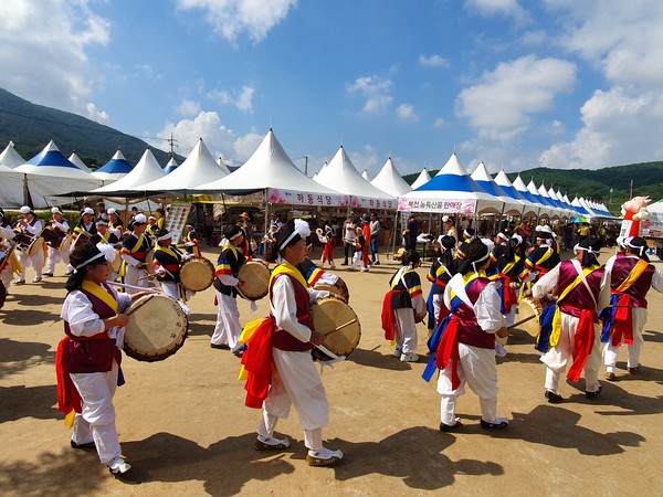 하동 북천초등학교는 지난 휴일 2019 북천 코스모스·메밀꽃 축제장에서 북천면 마을 풍물패와 북천초등학교 사물놀이부 학생들이 함께 어우러져 신명나는 길놀이 공연을 펼쳤다./ⓒ하동군