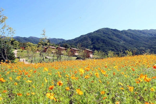 지리산생태험단지 꽃 만발ⓒ함양군