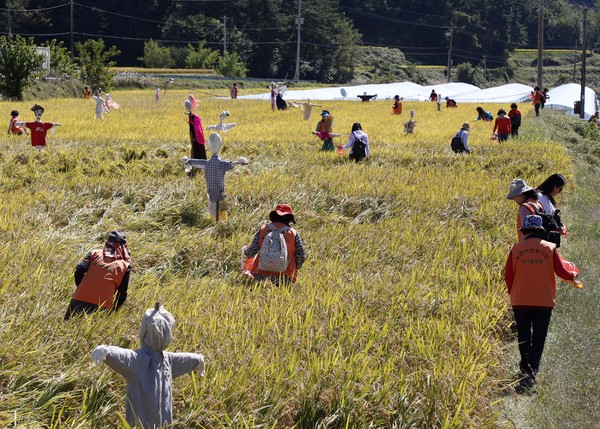 산청군 차황면에서 ‘제25회 산청 메뚜기 축제’가 개최됐다./ⓒ산청군