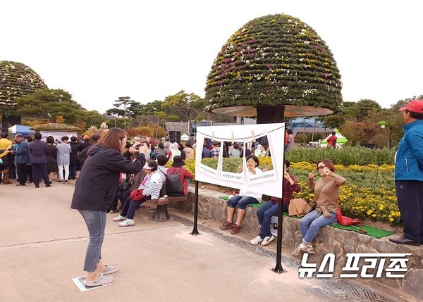 ﻿함평 ‘2019 대한민국 국향대전’ 주말 나들이객 북적/ⓒ이병석 기자