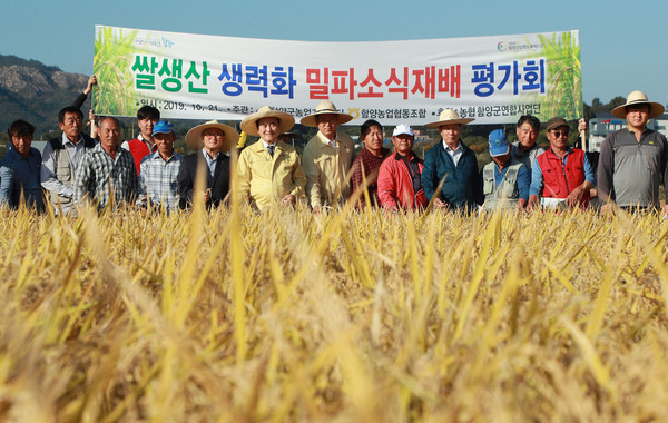 함양군은 21일 함양읍 한들 이홍주 농가포장에서 쌀전업농가 및 유관기관 관계자 등 30여명이 참석한 가운데 ‘쌀생산 생력화 밀파소식재배 평가회’를 가졌다./ⓒ함양군