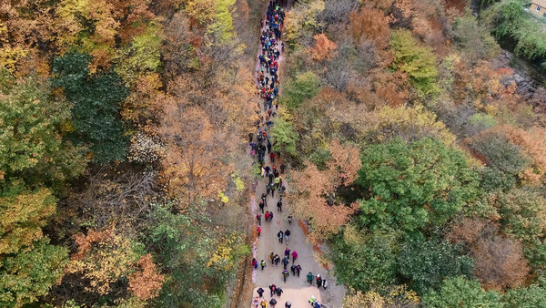 하동군은 이번 주말인 26일 지리산 청학동과 슬로시티 악양면을 잇는 해발 740m의 회남재 일원에서 ‘2019 지리산 회남재 숲길 걷기’ 행사를 갖는다.(2018회남재 걷기)/ⓒ하동군