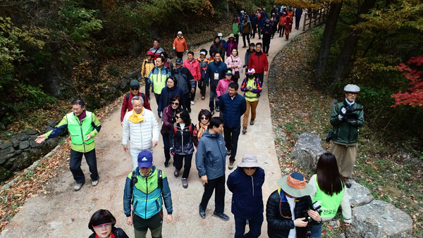 하동군은 이번 주말인 26일 지리산 청학동과 슬로시티 악양면을 잇는 해발 740m의 회남재 일원에서 ‘2019 지리산 회남재 숲길 걷기’ 행사를 갖는다.(2018회남재 걷기)/ⓒ하동군