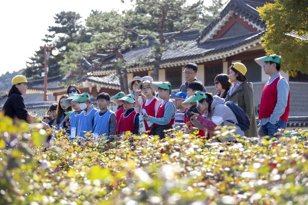 2018년 산청목화축제 목면시배유지 목화 보는 관광객./ⓒ산청군