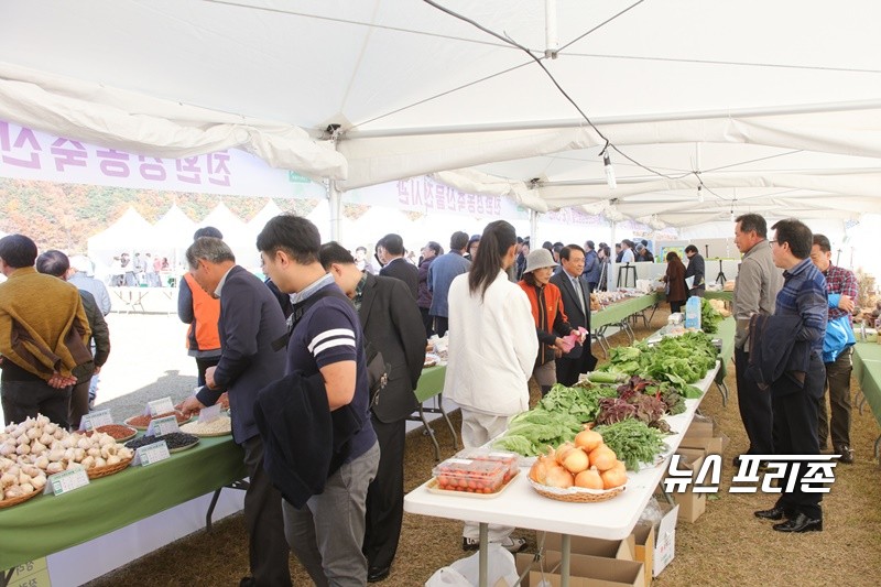 지난해 행사모습.(사진제공=단양군)