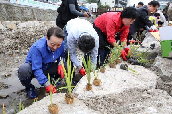 임택 광주 동구청장이 소태천 도랑살리기 수생식물 식재/ⓒ광주 동구청