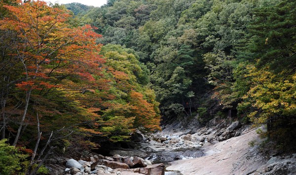 단풍의 계절을 맞은 산청군 삼장면 대원사 계곡길이 형형색색으로 물들고 있다./ⓒ산청군