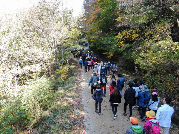 2019 지리산 회남재 숲길 걷기./ⓒ하동군