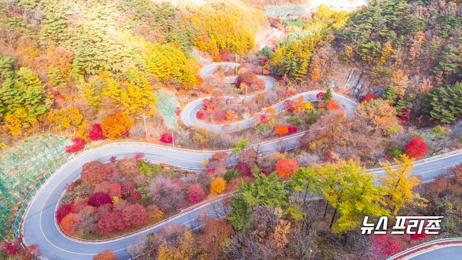 단양 보발재 전경.(사진제공=단양군)