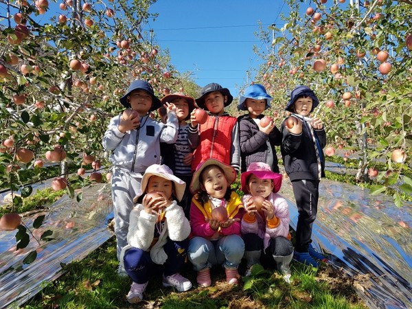 거창군에서는 지난 2일에서 3일까지, 이틀간 고제면 봉계리에 위치한 사과테마파크 체험장에서 ‘후지 사과수확체험 행사’를 개최했다./ⓒ거창군