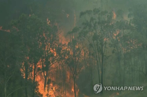 ​최악의 '호주산불' 뉴사우스웨일스 · 퀸즐랜드 까지 확산최악의 '호주산불' 뉴사우스웨일스 · 퀸즐랜드 까지 확산​