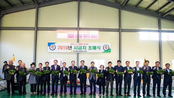 남해군의 겨울철 주요 소득작물인 보물섬 남해시금치가 14일 새남해농협에서 초매식을 갖고 본격적인 출하를 시작했다./ⓒ남해군