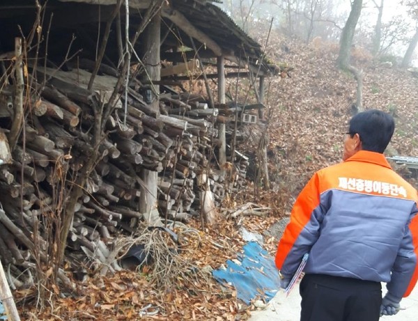 창녕군은 소나무류 불법이동으로 인한 재선충병 피해확산 차단을 위해 12월 13일까지 소나무류 이동 특별단속을 실시한다./ⓒ창녕군