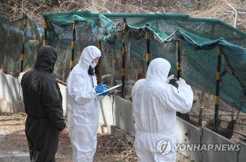 부산 철새도래지 주변 양계 농가 점검