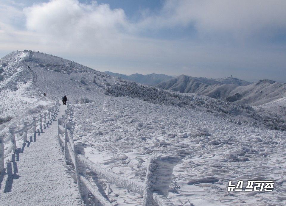 소백산 설경.(사진제공=단양군)