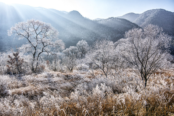 황강상고대./ⓒ합천군