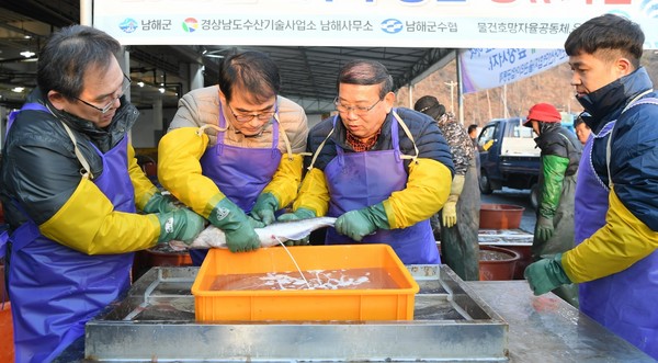 남해군이 겨울철 대표 어종인 대구 자원 조성을 위해 수정란 방류사업을 적극 추진한다.(대구 인공수정 작업 모습)/ⓒ남해군