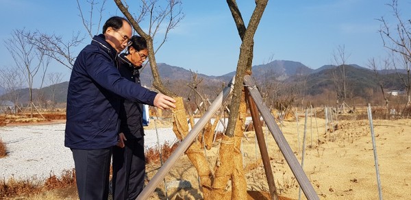 거창군은 올해 2월 말까지 동절기 종합대책을 추진하고 있으며, 그 일환으로 거창창포원 내 시설물과 동해에 취약한 수목의 동절기 관리 상태를 점검하기 위해 신창기 부군수가 현장을 방문했다./ⓒ거창군