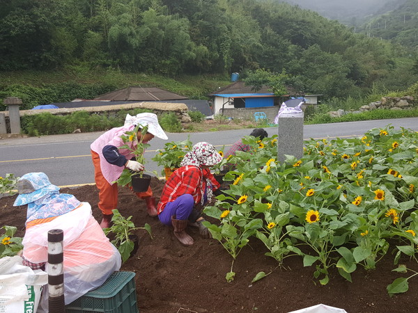 하동군은 2020년 제1단계 공공근로사업 1차 선발된 참여자 29명을 대상으로 13일∼6월 30일까지 1단계 공공근로사업을 시행한다./ⓒ하동군