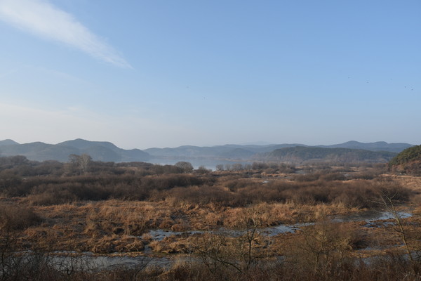 사랑나무에서 바라보는 우포늪 사진이다./ⓒ창녕군