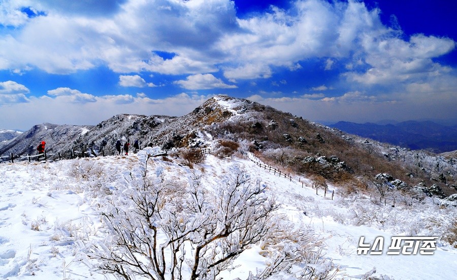 소백산 설경.(사진제공=단양군)