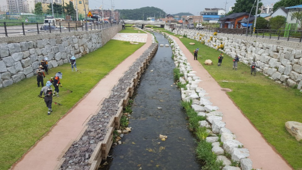 하천관리단 창녕천 환경정비 작업모습./ⓒ창녕군