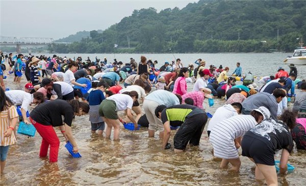 하동섬진강문화재첩축제 예비 문화관광축제 지정./ⓒ하동군