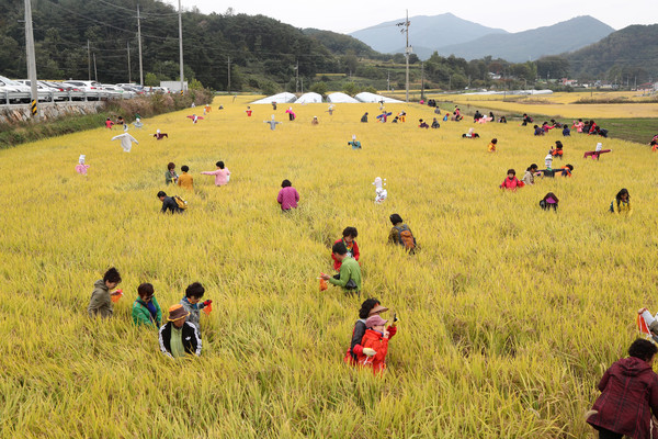 산청군농협 메뚜기 축제 메뚜기 잡기대회./ⓒ산청군