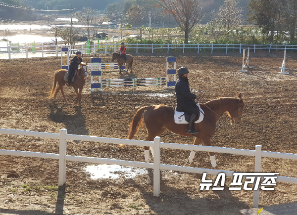 경남승마훈련원에서 유소년 승마단원들이 훈련을 하고 있다./ⓒ정병기 기자