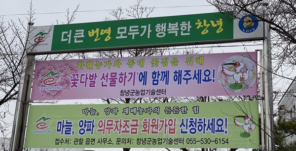 지난달 2월 28일, 현수막을 게시하여 꽃 소비 촉진 실천 동참을 요청하고 있다./ⓒ창녕군