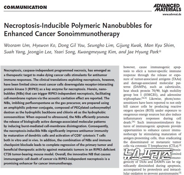 초음파를 쬐면 기포가 나오는 나노버블로 암 세포막 파열을 유발해 네크롭토시스 유사 세포사멸을 유도한 성균관대 박재형 교수팀 연구는 국제학술지 어드밴스드 머티리얼즈(Advanced Materials) 3월 3일 게재됐다.ⓒ어드밴스드 머티리얼즈·성균관대 박재형 교수팀·뉴스프리존