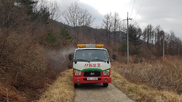 거창군은 본격적인 영농시기에 앞서 2월부터 농경지와 산림에 동시 발생하는 돌발해충인 갈색날개매미충의 발생밀도를 낮추고 피해를 최소화하기 위해 월동난 방제를 시행하고 있다./ⓒ거창군