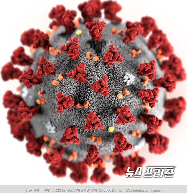 신종 코로나바이러스 감염증-19 병원체./ⓒ뉴스프리존