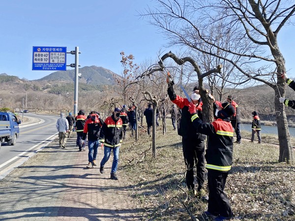 함양군 산림녹지과는 지난 10일 기간제 근로자 55명 전원이 참여한 가운데 상림우회도로에 조성된 수양회화나무와 상림주변 녹지공간의 환경개선작업을 진행했다./ⓒ함양