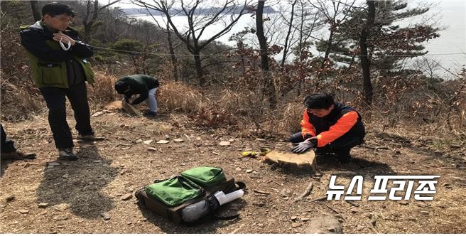 충남 서산시 대산읍 독곶리 인근 산림 소나무 13그루에서 재선충병 감염이 확인됐다./ⓒ충남도청