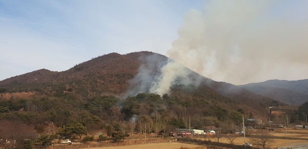 지난 1월 비봉면에서 발생한 산불화재 현장.Ⓒ청양소방서