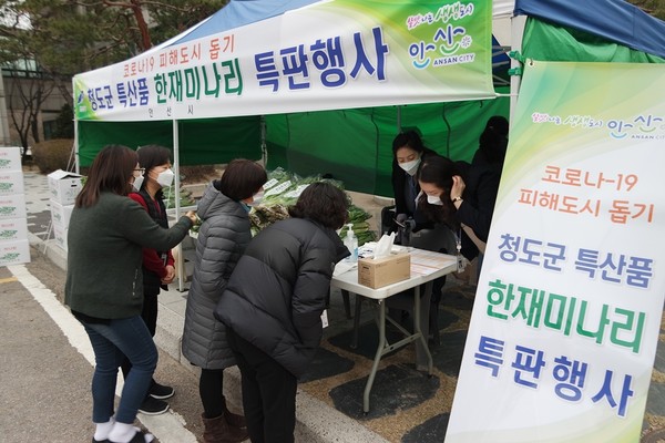 청도 미나리 팔아주기 운동 톡톡한 성과 내/Ⓒ청도군청