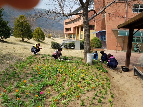 의령군 시설관리사업소는 새봄맞이 화단을 조성하여 코로나 및 겨우내 움츠렸던 군민들에게 싱그러운 봄소식을 전할 계획이다./ⓒ의령군