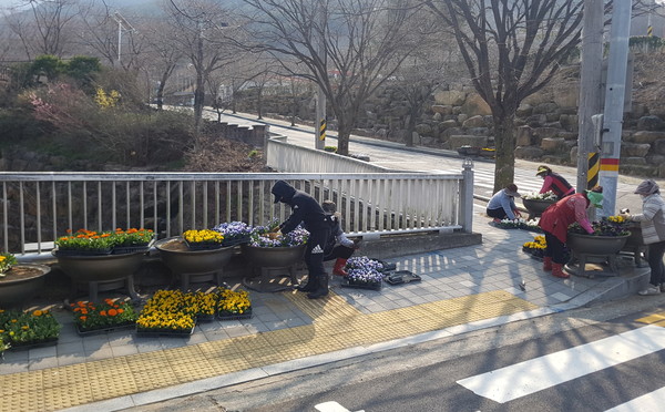 지난 19일, 창녕읍 자하곡 입구에 봄맞이 꽃길을 조성하고 있는 모습이다./ⓒ창녕군